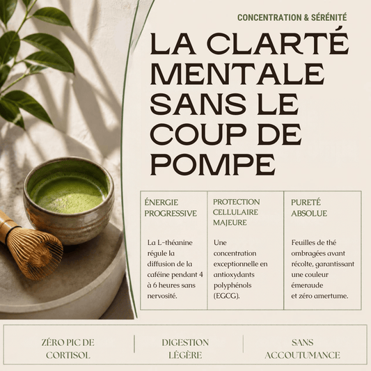 Matcha Cérémonie Premium AHTEA — Énergie Douce & Concentration | 50g - MoonRose