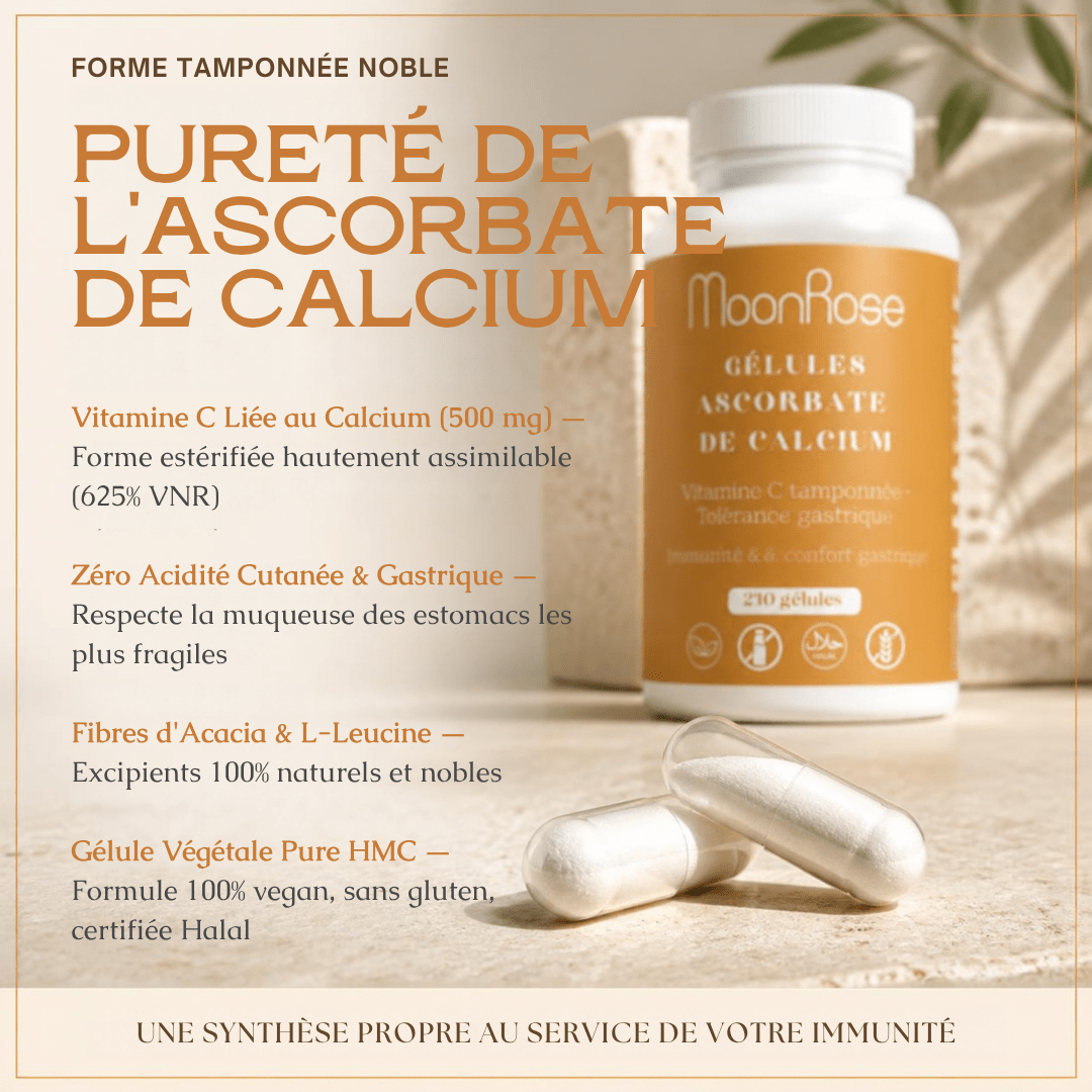 Ascorbate de Calcium – Vitamine C Tamponnée & Tolérance Gastrique (240 Gélules) - MoonRose