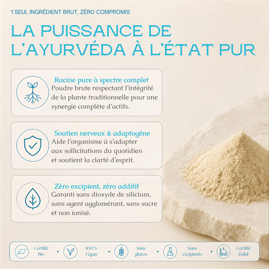 Ashwagandha Bio en Poudre — MoonRose (Sachet 500 g) - MoonRose