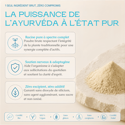 Ashwagandha Bio en Poudre — MoonRose (Sachet 500 g) - MoonRose