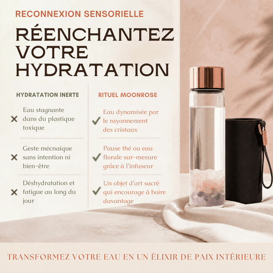 Bouteille Cristal Harmonie en Verre Borosilicate — Chambre à Éclats de Quartz & Améthyste avec Infuseur Thé Inox | Rituel Énergétique & Housse Néoprène Offerte - MoonRose