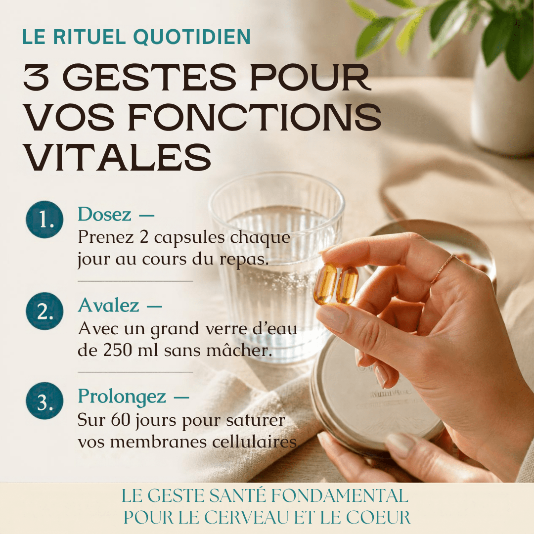Capsules Omega 3 Max MoonRose (120 Softgels) — Huile de Poisson Sauvage Pure Forme Triglycérides (1400 mg) | 700 mg EPA & 500 mg DHA + Vitamine E | Cœur, Cerveau & Vision | Certifié Halal - MoonRose