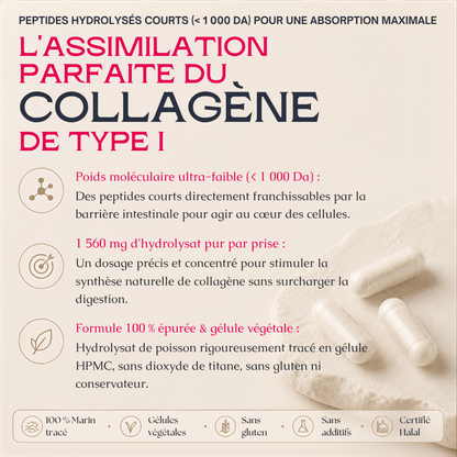 Gélules Collagène Marin Pur - 1 560 mg par prise quotidienne - MoonRose