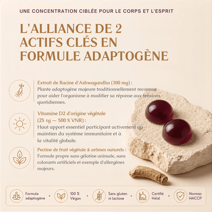 Gummies Sérénité & Équilibre Ashwagandha 300 mg & Vitamine D2 – 60 Gummies - MoonRose
