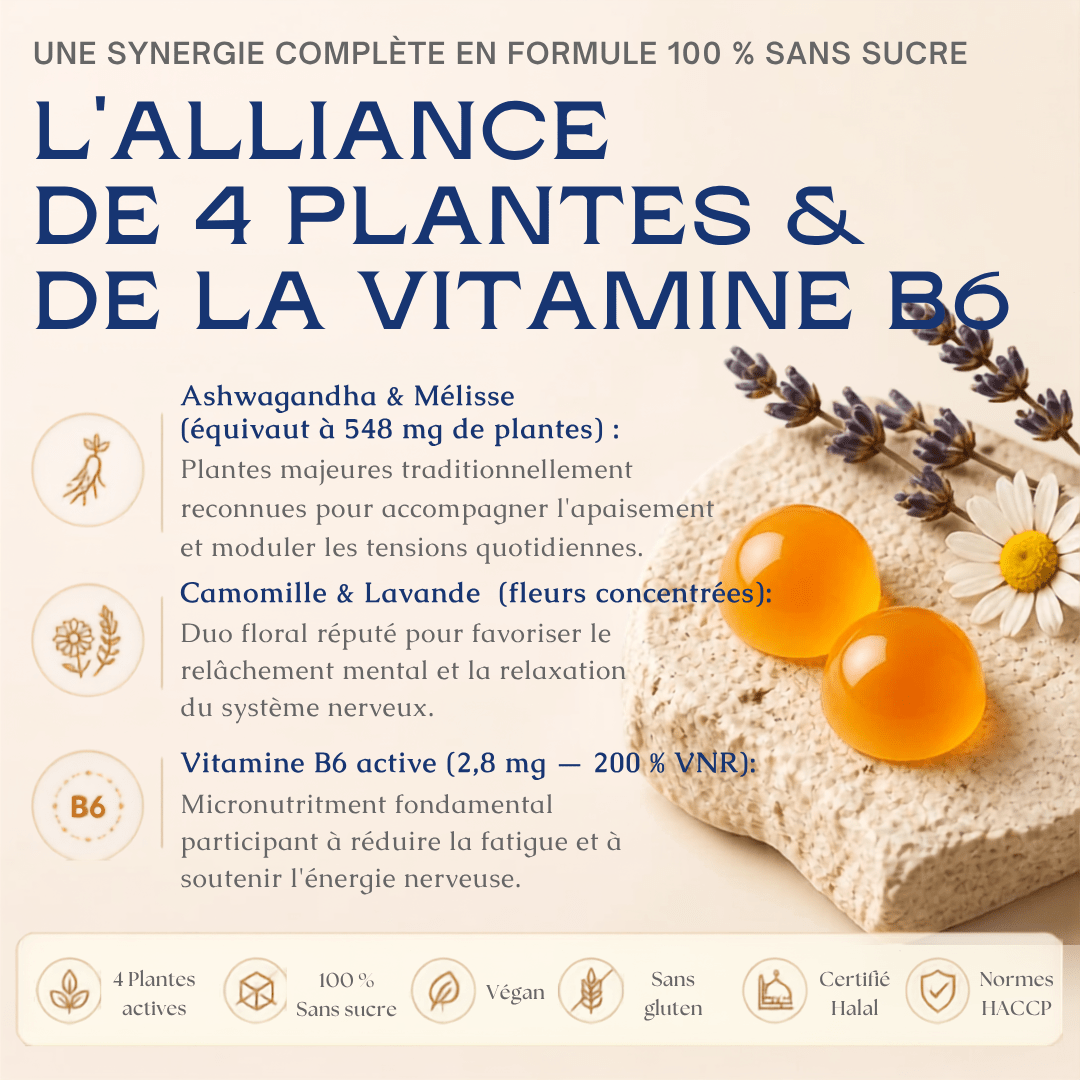 Gummies Vitalité - Ashwagandha, Mélisse, Camomille, Lavande - MoonRose