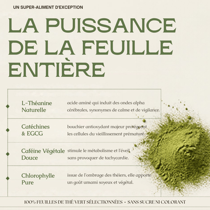Matcha Cérémonie Premium AHTEA — Énergie Douce & Concentration | 50g - MoonRose