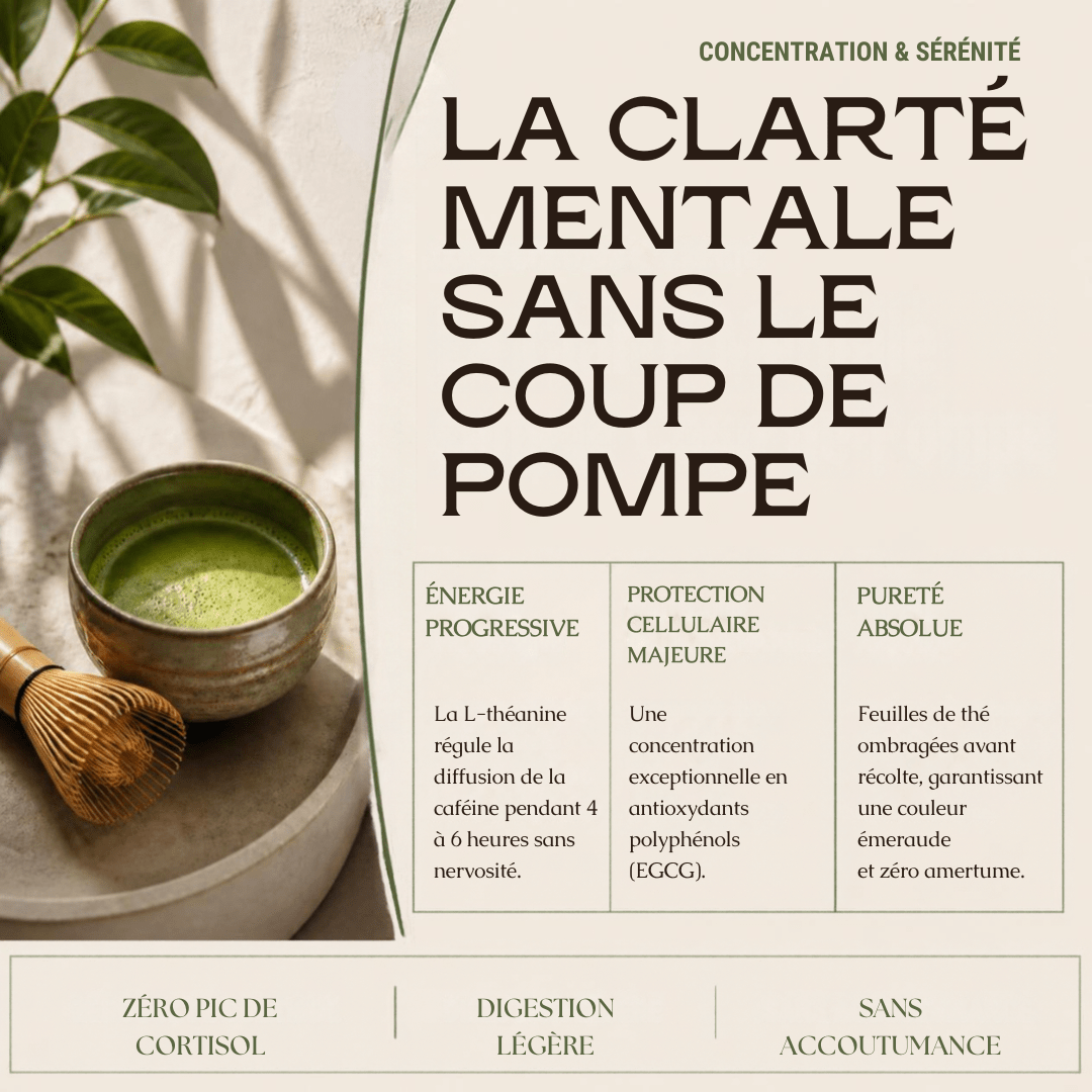 Matcha Cérémonie Premium AHTEA — Énergie Douce & Concentration | 50g - MoonRose