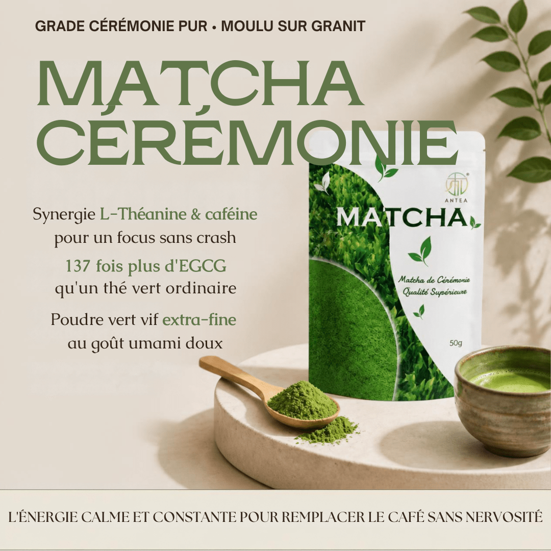 Matcha Cérémonie Premium AHTEA — Énergie Douce & Concentration | 50g - MoonRose
