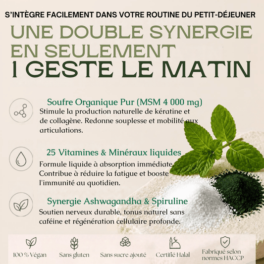 Pack Protocole Intensif 2 Mois — MSM Pur (500 g) + 2x Shots Multivitamines Plus+ (2 × 500 ml) - MoonRose